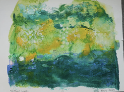 Northern Lights by Broc, age 17